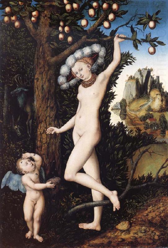 CRANACH, Lucas the Elder Venus and Cupid china oil painting image